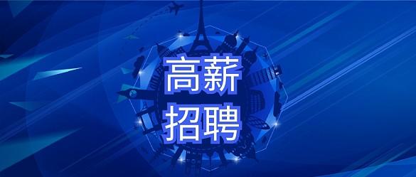 国产新能源汽车排名前十名及价格